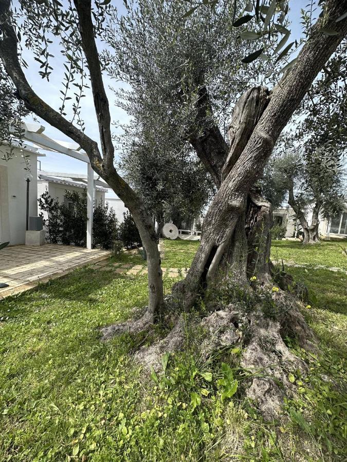Frontemare Hotel Village & Ristorante Rodi Garganico Εξωτερικό φωτογραφία
